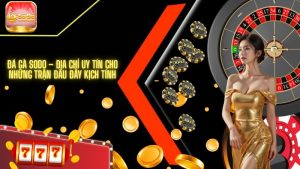 Đá gà SODO – Địa chỉ uy tín cho những trận đấu đầy kịch tính