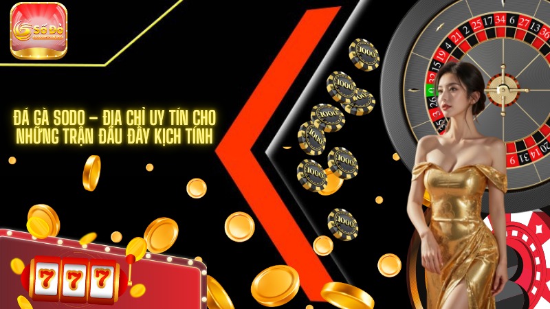 Đá gà SODO – Địa chỉ uy tín cho những trận đấu đầy kịch tính