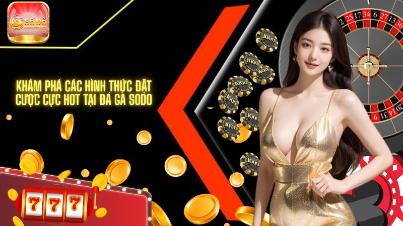Khám phá các hình thức đặt cược cực hot tại đá gà SODO