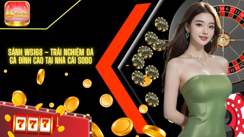 Sảnh WS168 – Trải nghiệm đá gà đỉnh cao tại nhà cái SODO