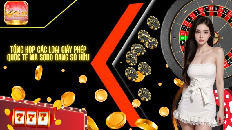 Tổng hợp các loại giấy phép quốc tế mà SODO đang sở hữu