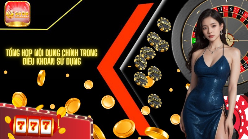 Tổng hợp nội dung chính trong điều khoản sử dụng