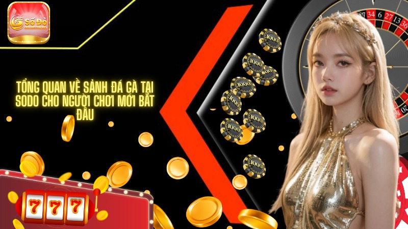 Tổng quan về sảnh đá gà tại SODO cho người chơi mới bắt đầu